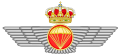 Spanish Parachutist Badge