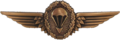 German Parachutist Badge